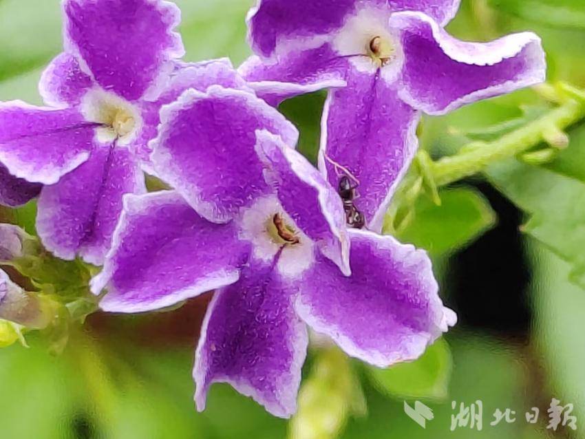 博悦地址登录测试
